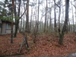 物件の写真